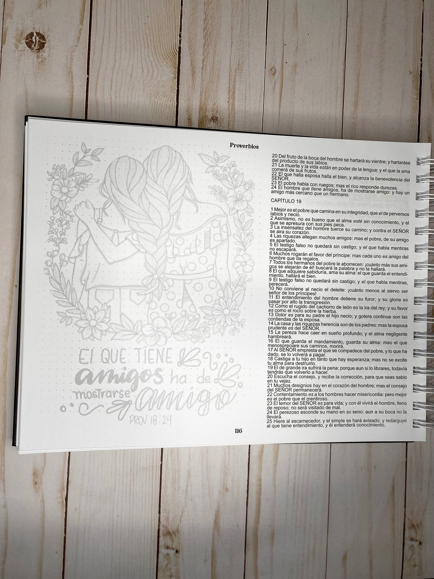 Salmos y Proverbios – Edición Creativa Bibliabonita